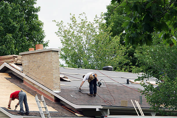 Best Roof Gutter Cleaning  in Centerville, PA