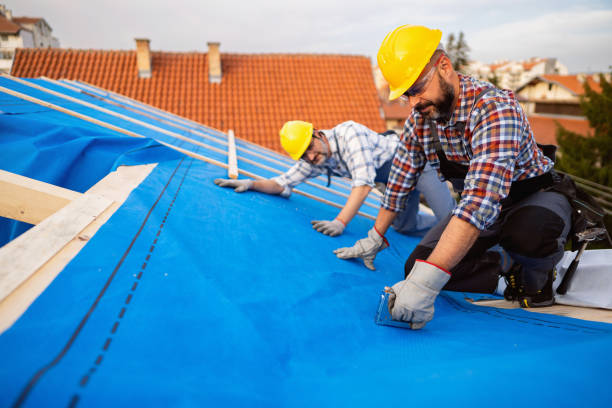 Roof Gutter Cleaning in Centerville, PA